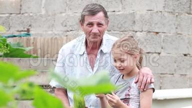 这个女孩和一个年长的养老金<strong>领取</strong>者坐在花园的花园里拥抱着。 发电